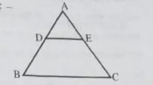 super 100 exam 