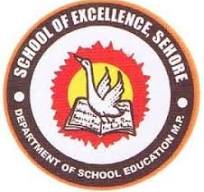 mp excellence school & Model School